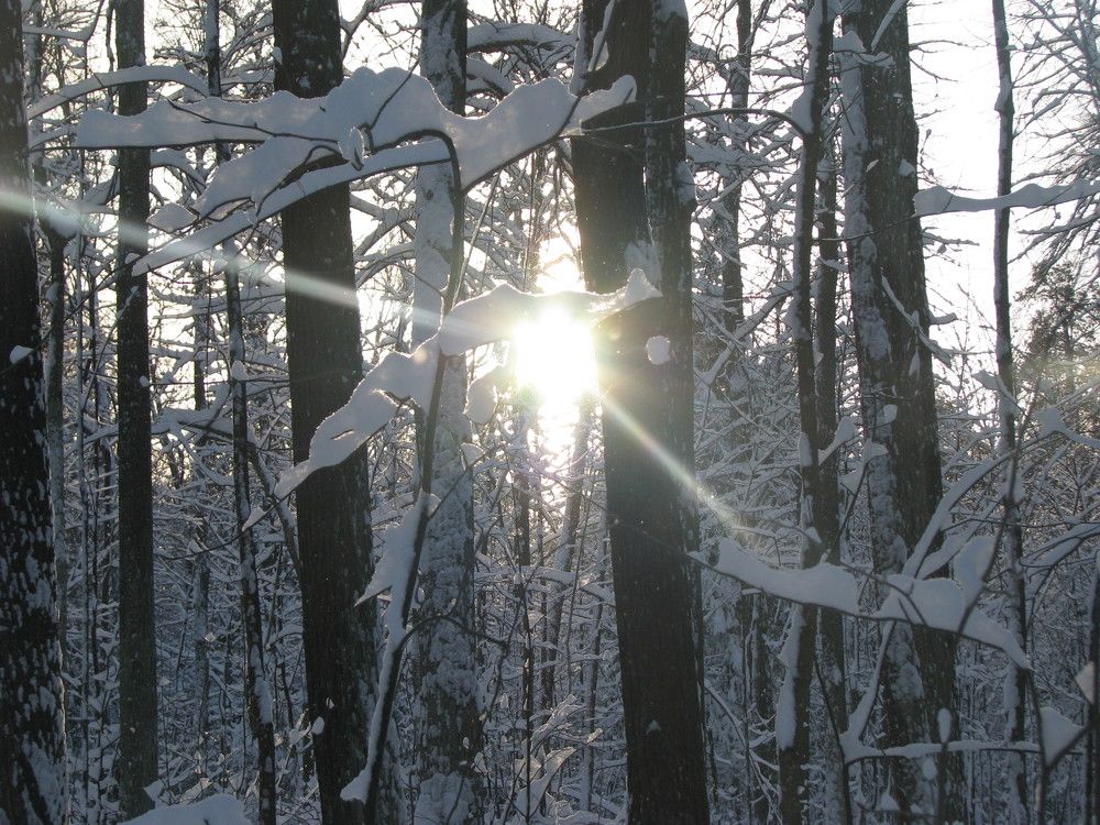 Photograph by Лада Кляузина