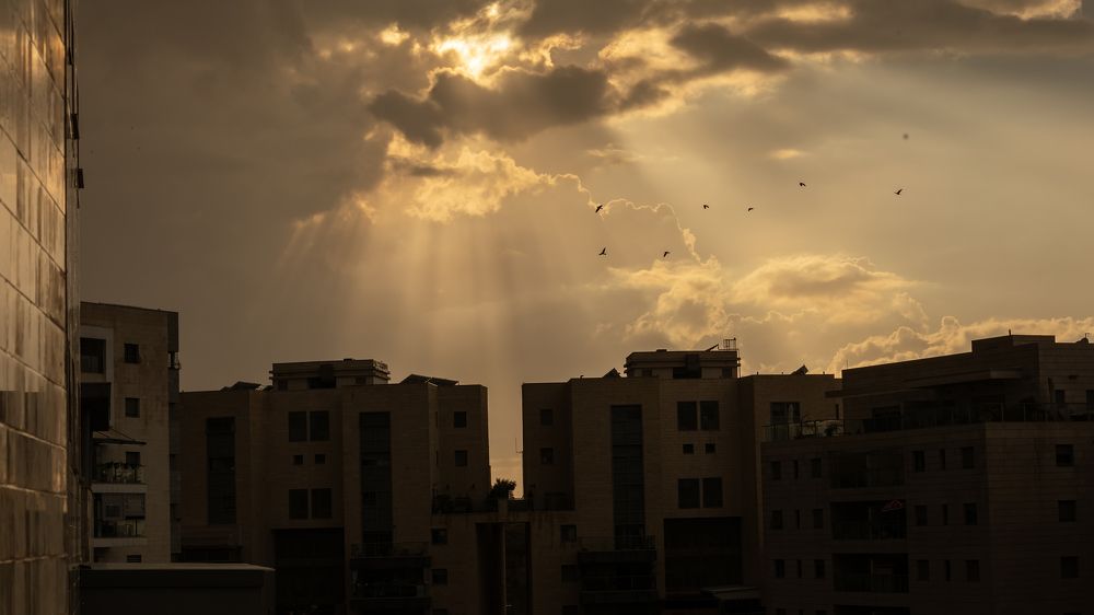 Photograph by Denis Hillel Schatz