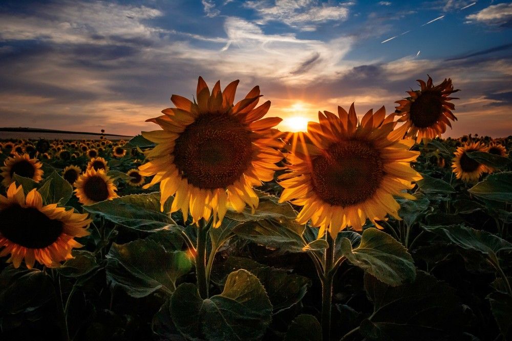 Photograph by Vlad Badau