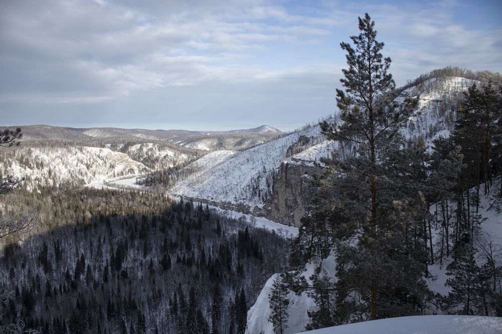 Фотография автора Веста Ягужинская