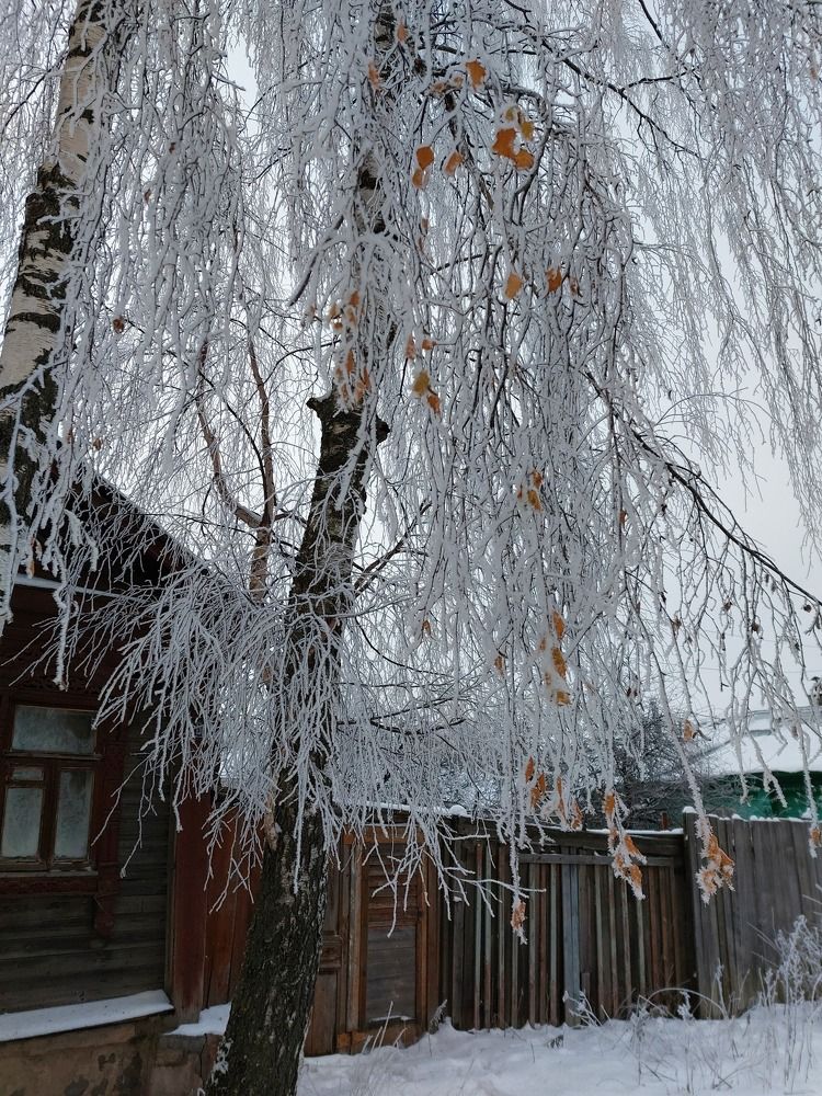 Photograph by Ксения Цветкова