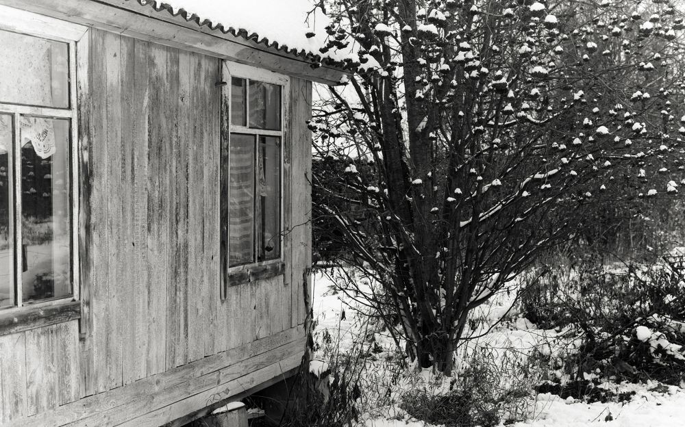 Photograph by Павел Зайков