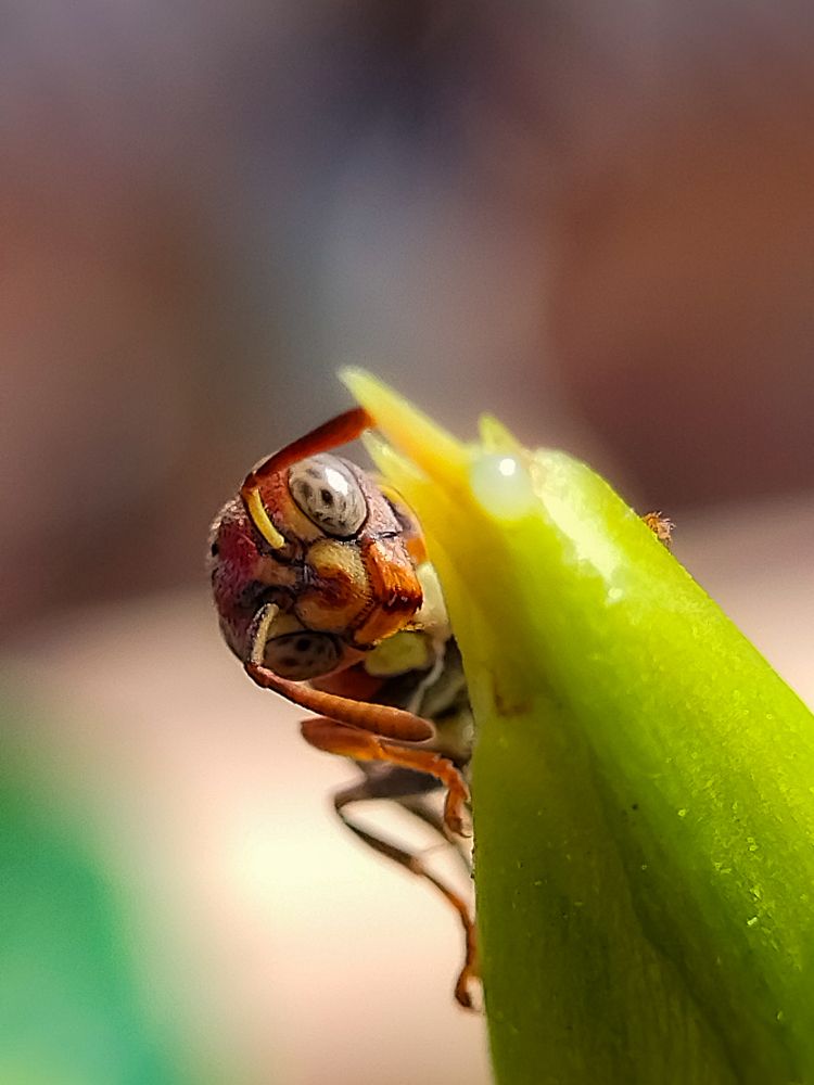 Photograph by Praveen