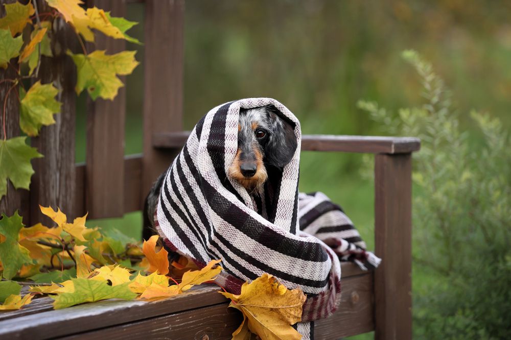 Photograph by Надежда Иванова