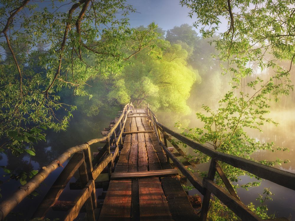 Photograph by Dmitry Medyancev