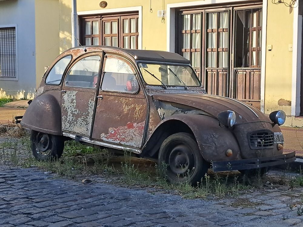 Фотография автора gustavo pecelis