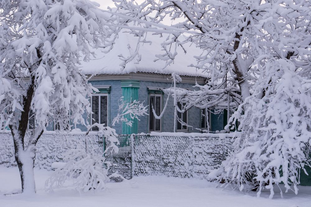 Photograph by Елена Плотникова