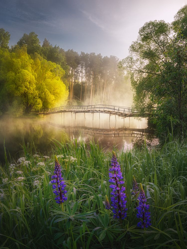 Фотография автора Dmitry Medyancev