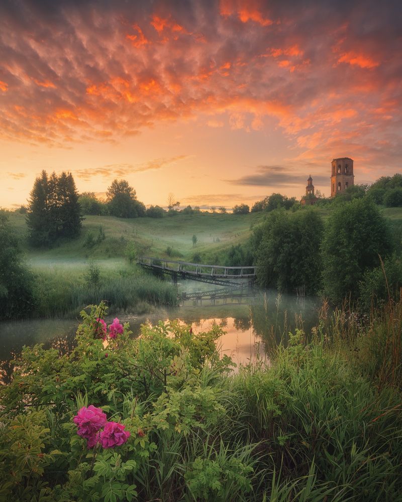 Фотография автора Dmitry Medyancev