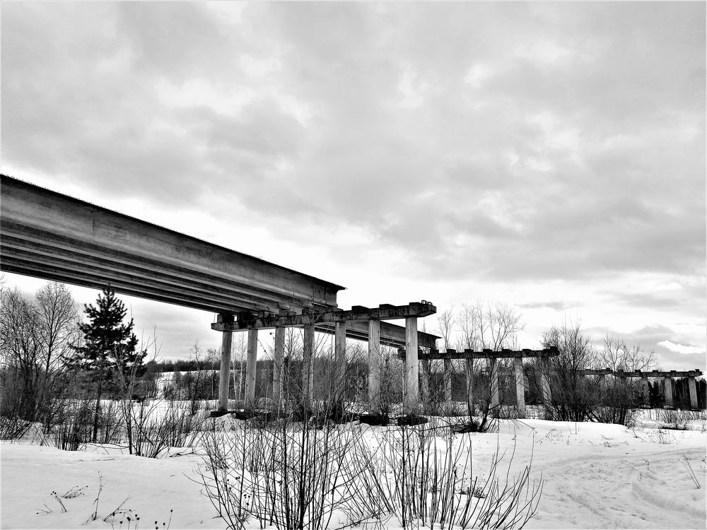 Photograph by Андрей Скрипниченко