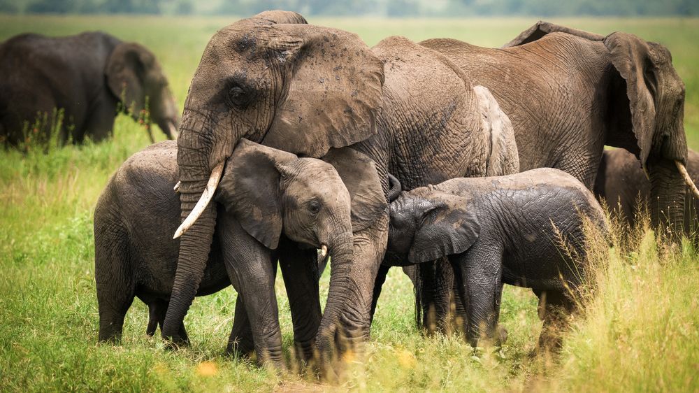 Photograph by Khazov Artem