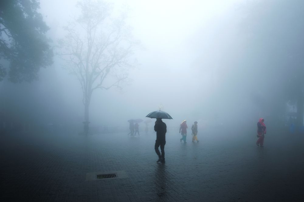 Photograph by GUHA SoumyaKamal
