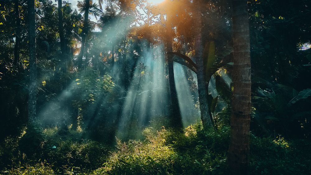 Photograph by Nivedh A M