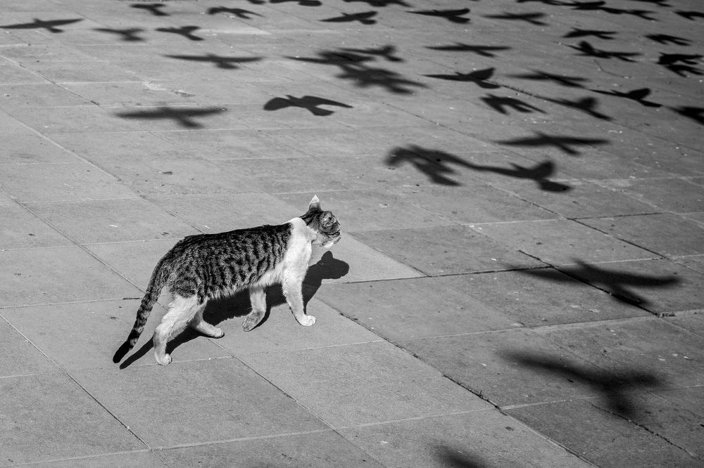 Photograph by Amirhossein Yousefi Keysari