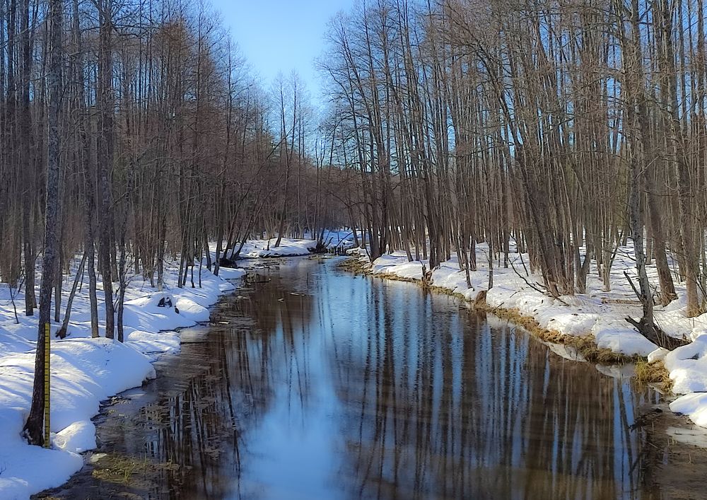 Photograph by Алёна Пшеленская