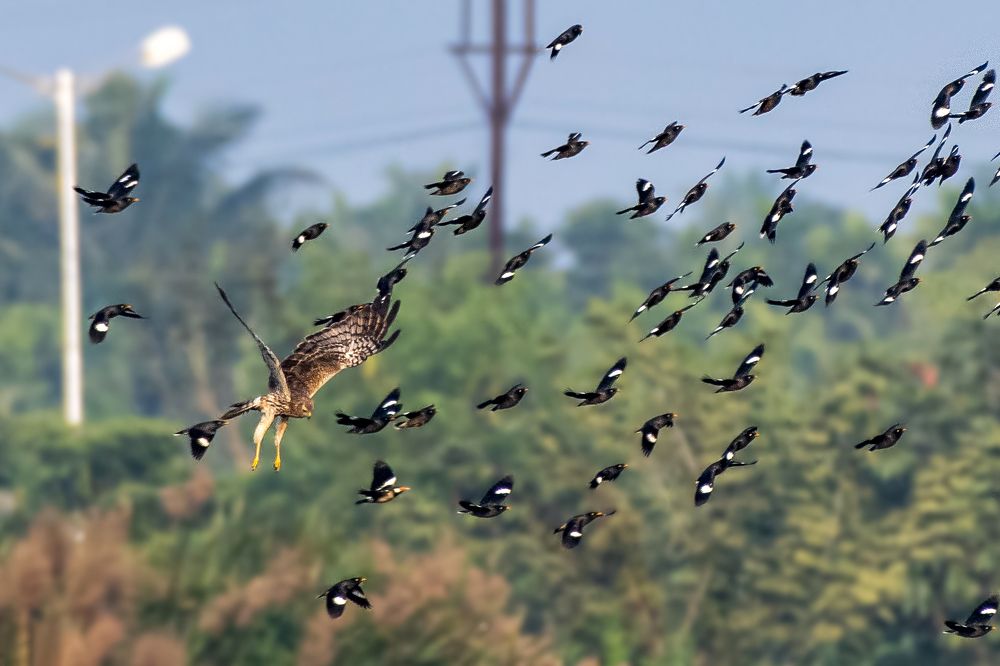 Фотография автора Arkajit Chakraborty