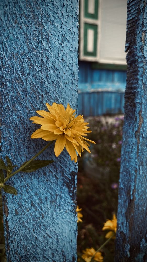 Photograph by Наталья Богаткина