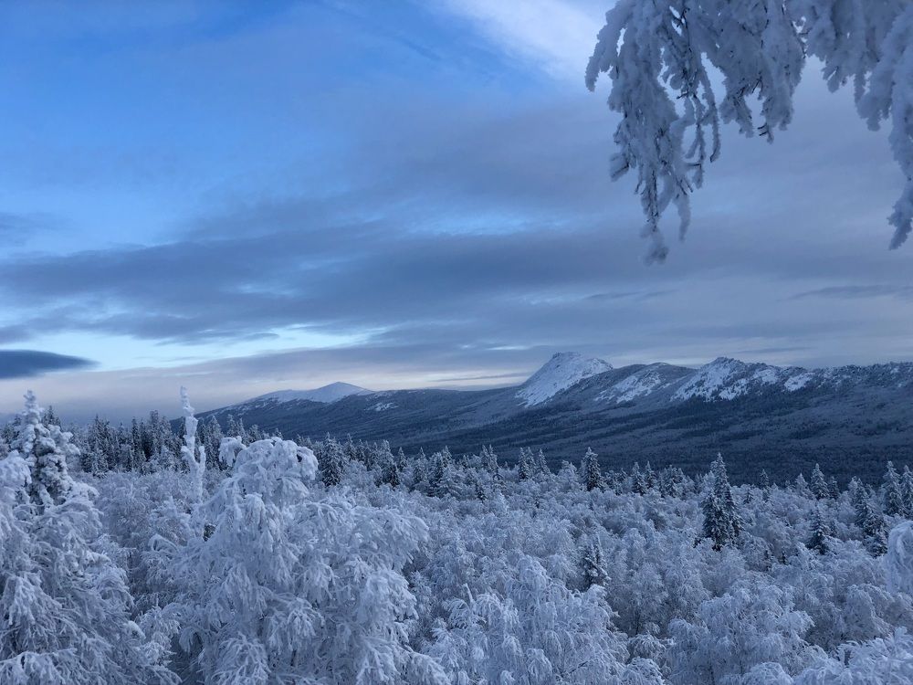 Фотография автора Евгения Елисеева