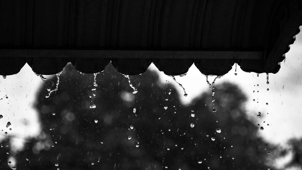 Photograph by Alberto Debs Rosales