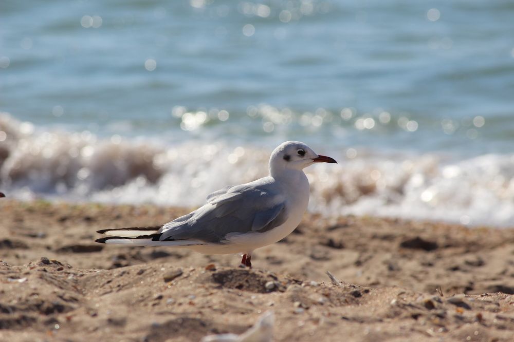 Photograph by Елена Драговозова