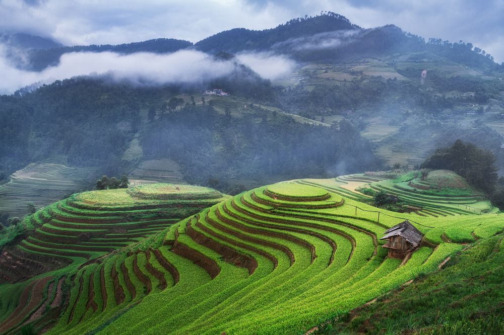 Photograph by Эрнест Вахеди