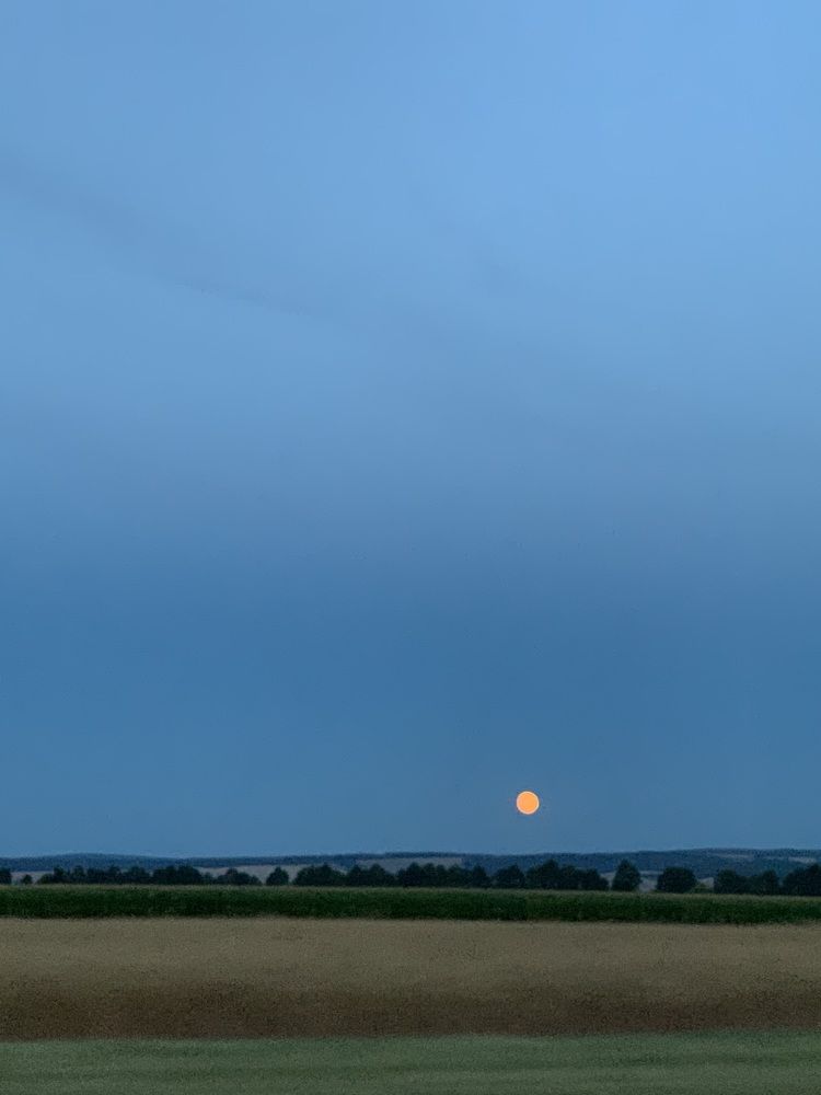 Photograph by Karolina Tutaj