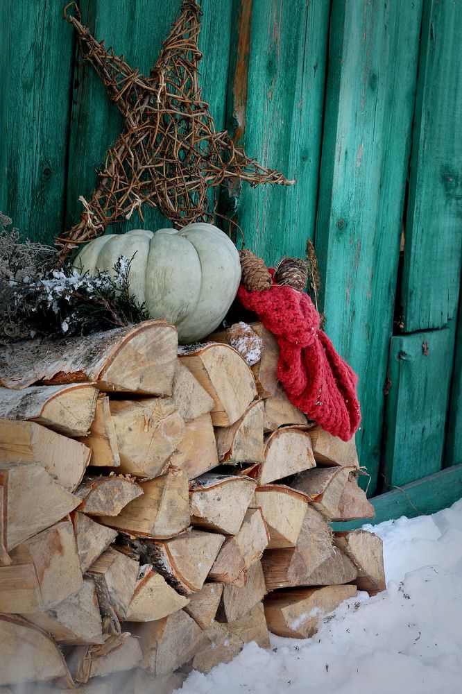 Фотография автора Любовь Харина