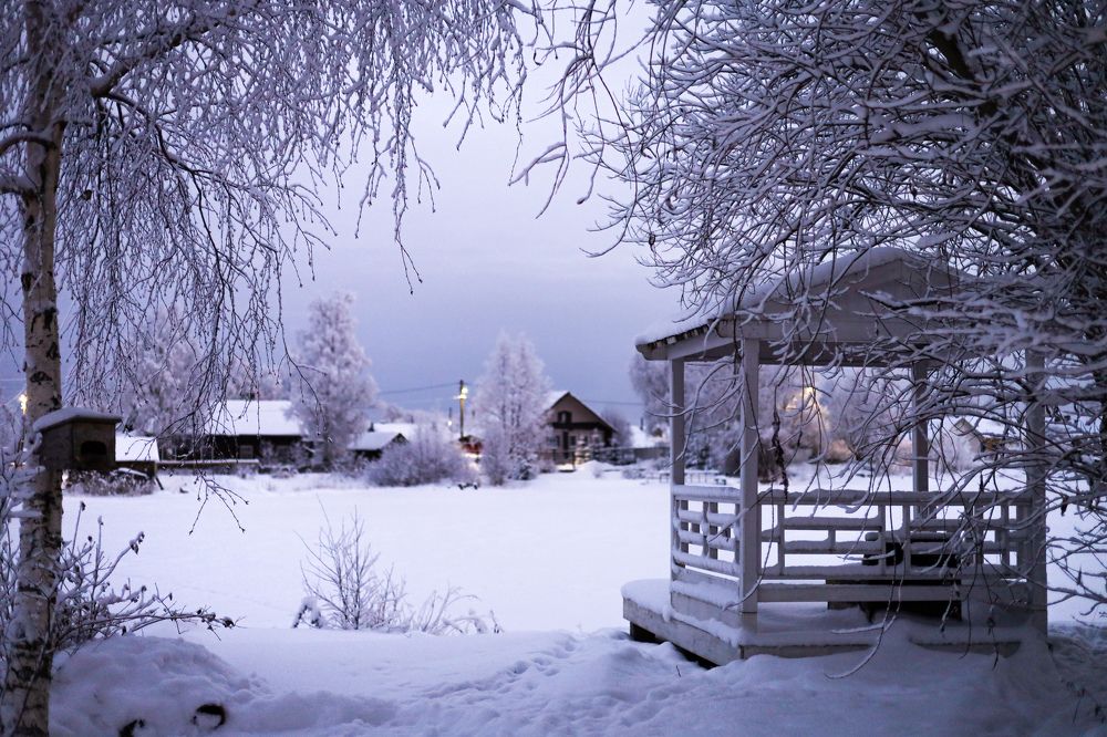 Photograph by Sergey Larionov