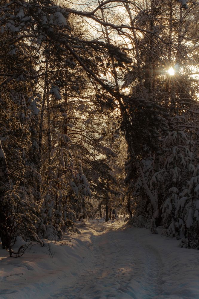 Photograph by Angelina Karelina