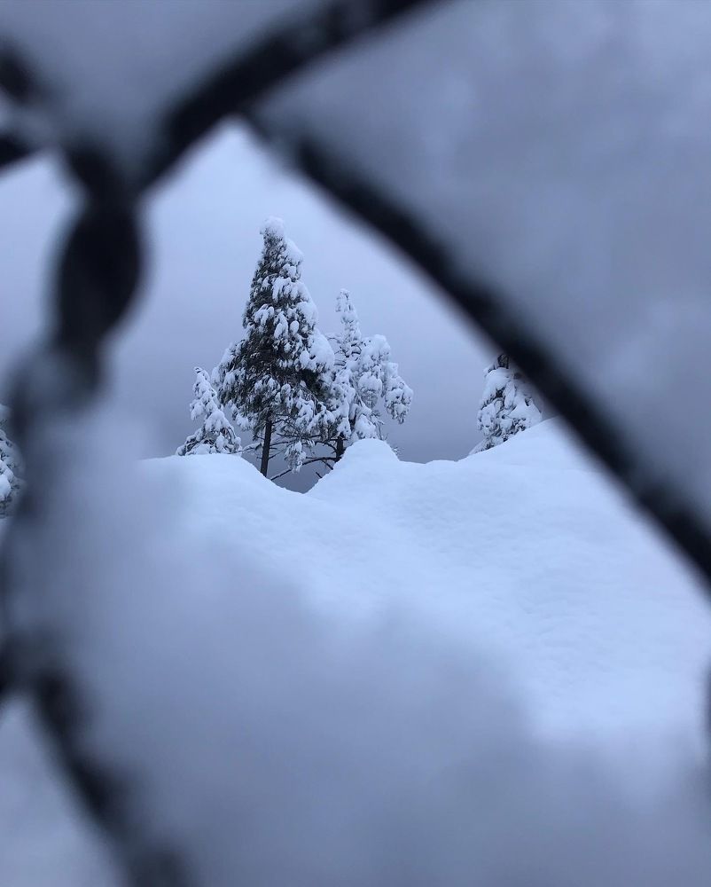 Photograph by Ankur khare