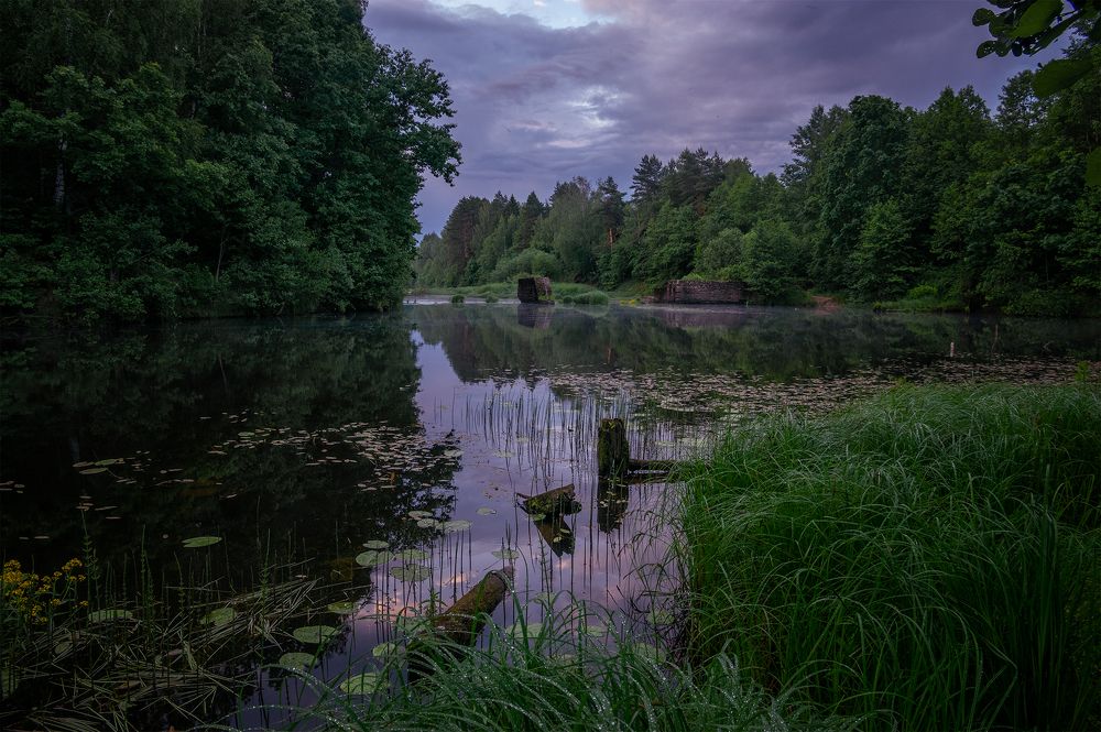 Photograph by Владимир