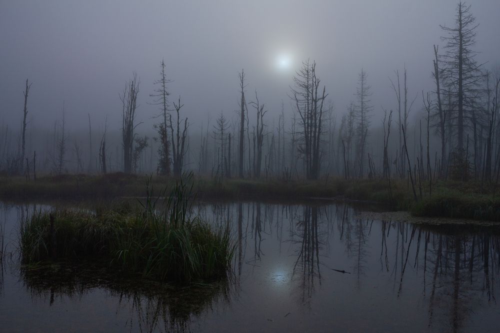 Photograph by Vera Komarova