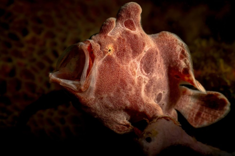 Photograph by Serge Melesan