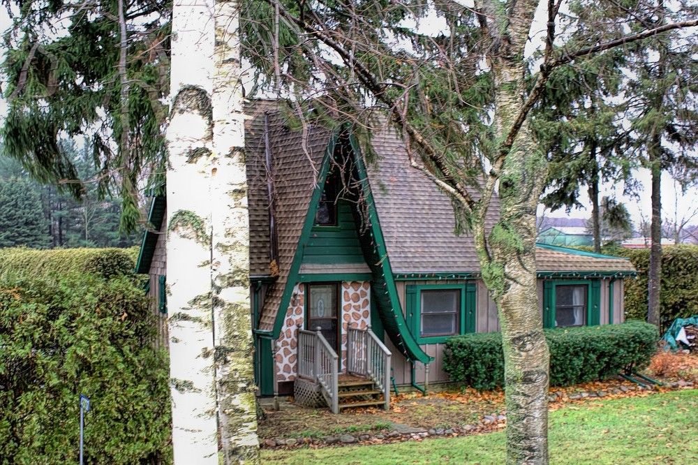 Photograph by A. G. Bisschop