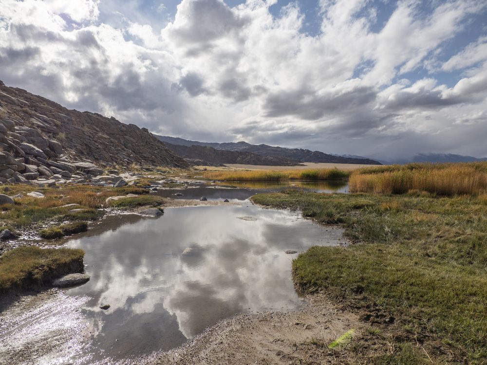 Photograph by Галина Михоношина