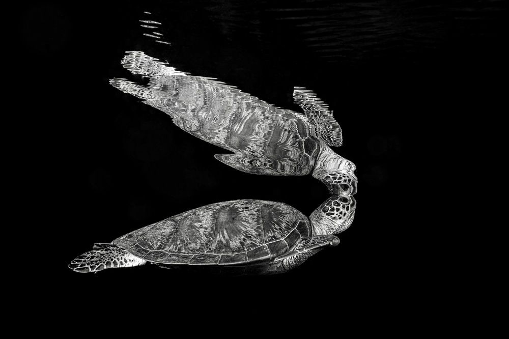 Photograph by Serge Melesan