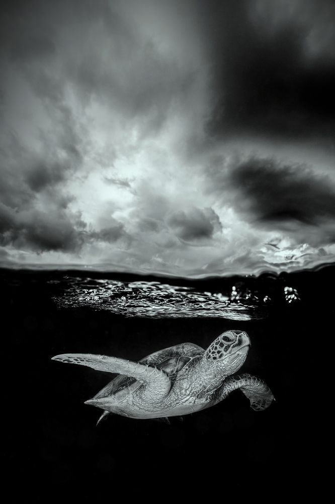 Photograph by Serge Melesan