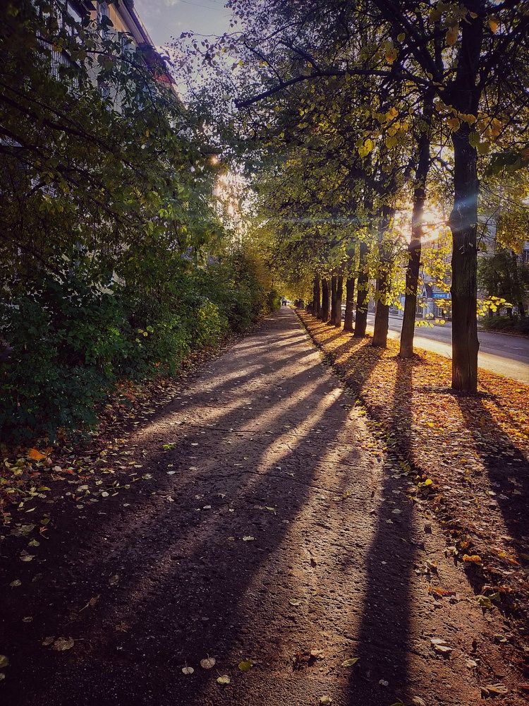 Photograph by Ольга Мартьянова