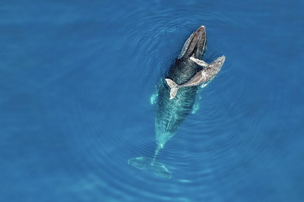 Photograph by Serge Melesan