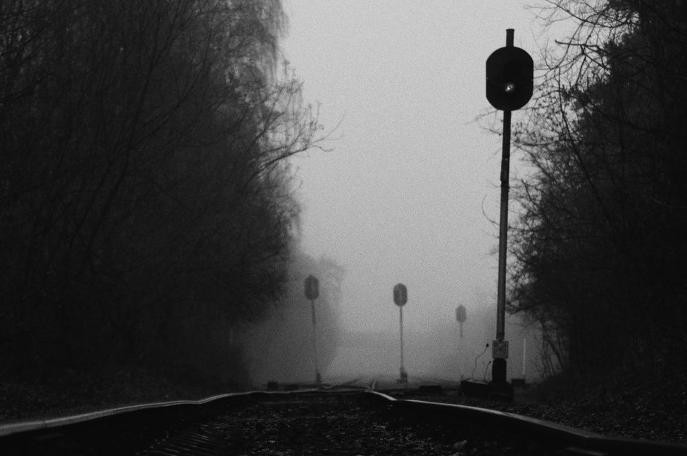 Photograph by Пищулина Ксения