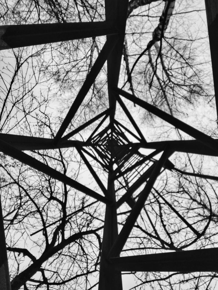 Photograph by Пищулина Ксения