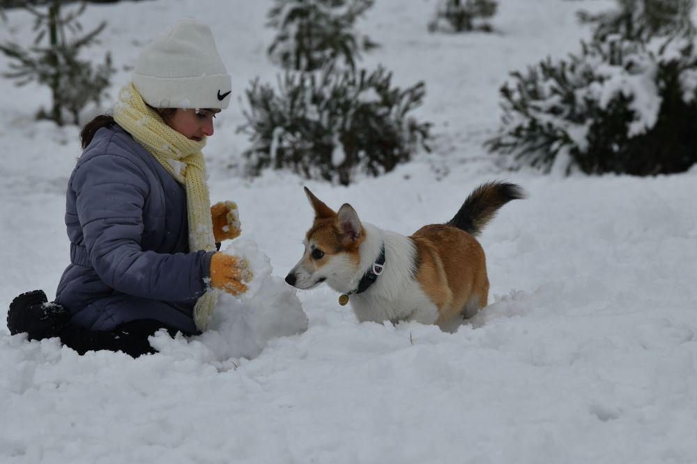Photograph by Rufet Mikayılov