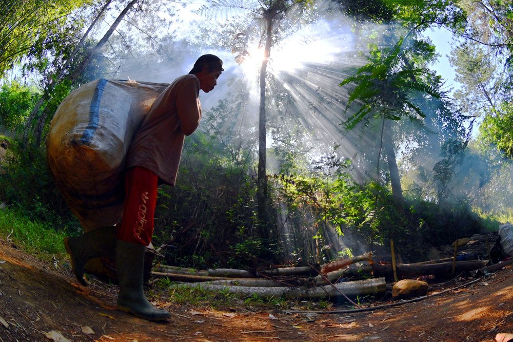 Photograph by Yosa Fiandra