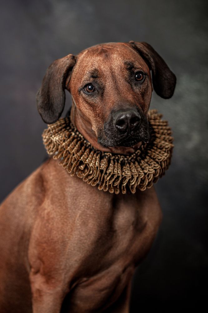 Photograph by Gertrude Goené