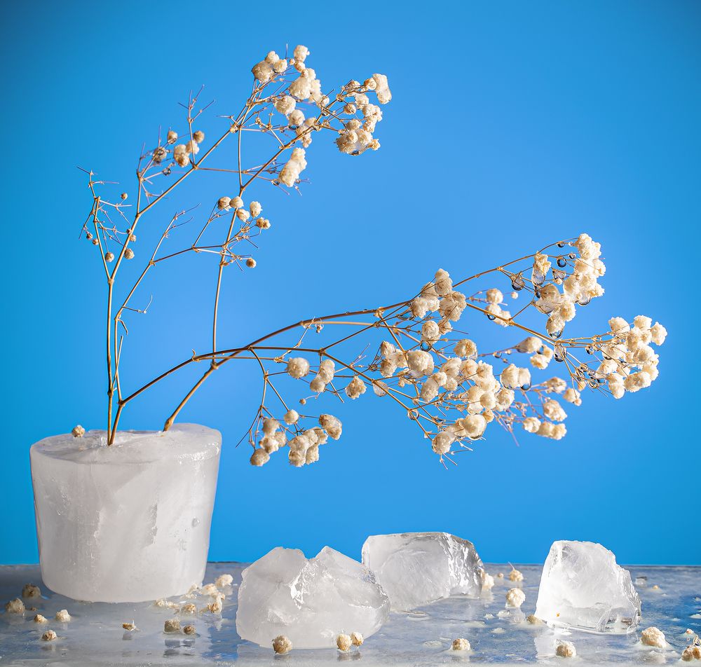 Фотография автора Роман Москвичев