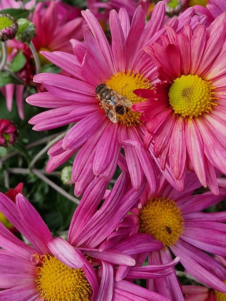 Photograph by Елена Гордеева