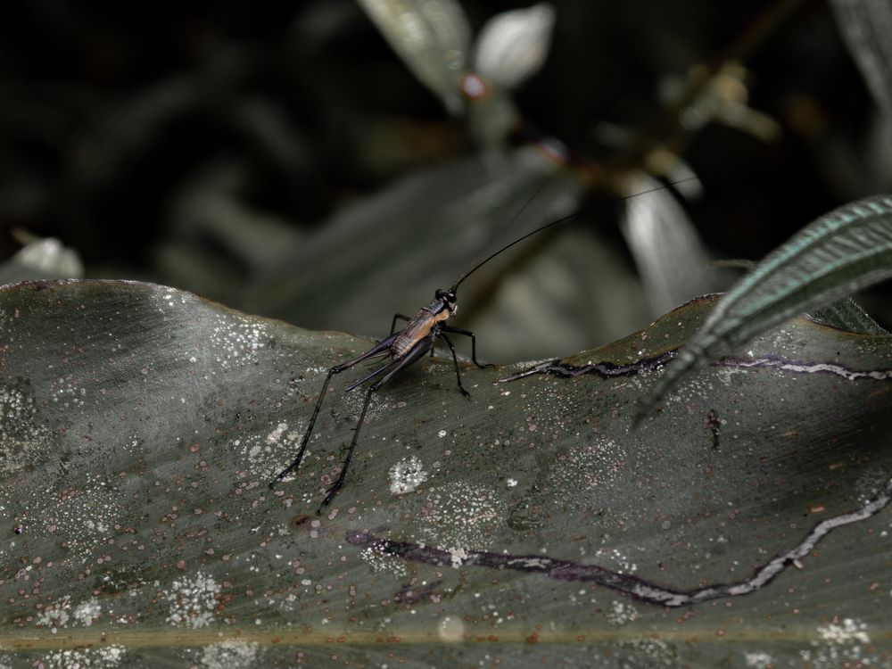 Photograph by ALEXANDER FERDINAND