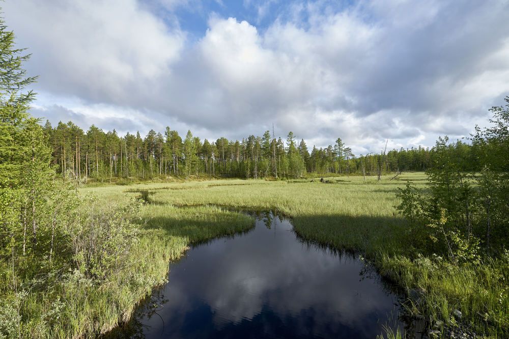 Photograph by Alexandr Klyuev