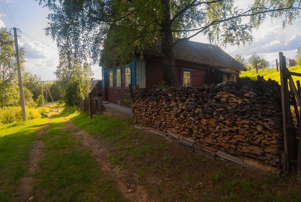 Фотография автора Елена Рубинская
