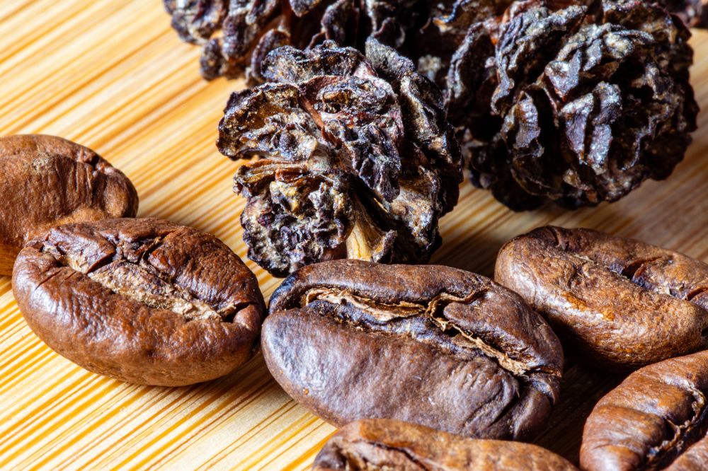 Кофейные зёрна и шишка ольхи.